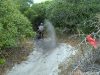 sdc10833