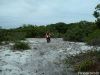 sdc10845