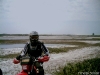 sunp0020