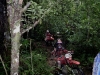 sdc11336